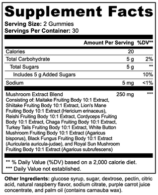 Focus Gummies